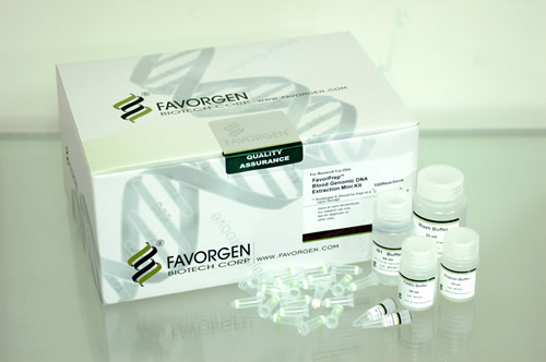 FABGK 300 FavorPrep™ Blood Genomic DNA Extraction Mini Kit (300 prep)