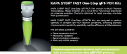 [SG-KK4650] SG-KK4650 KAPA SYBR® FAST One-Step qRT-PCR Master Mix (2X) Universal (100 x 20 µL reactions)